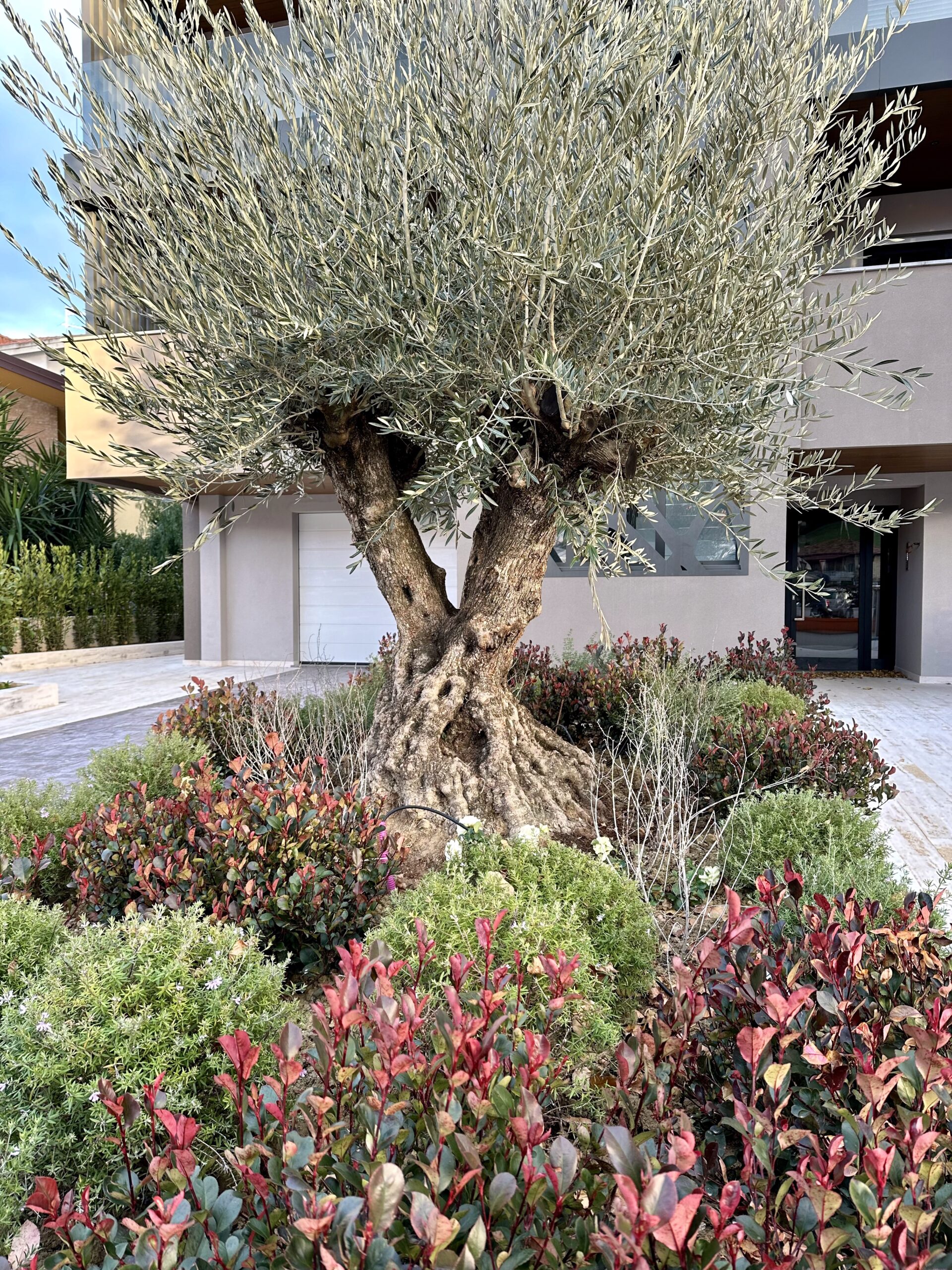 Giardino Residenza La Pinetina