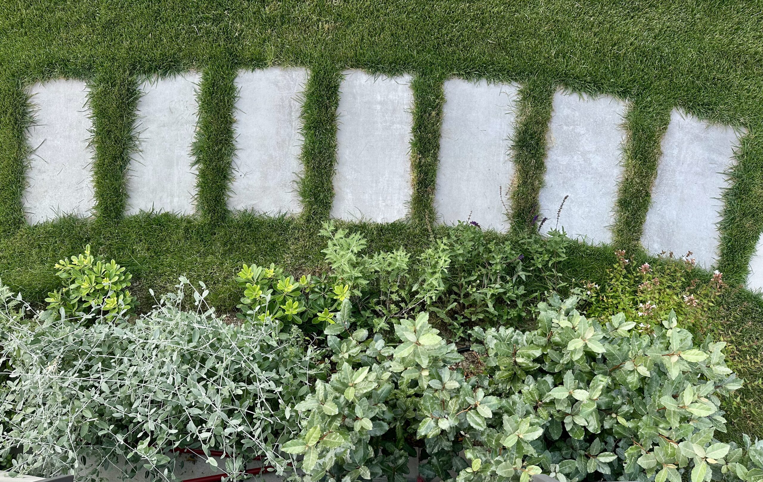Un giardino desiderato
