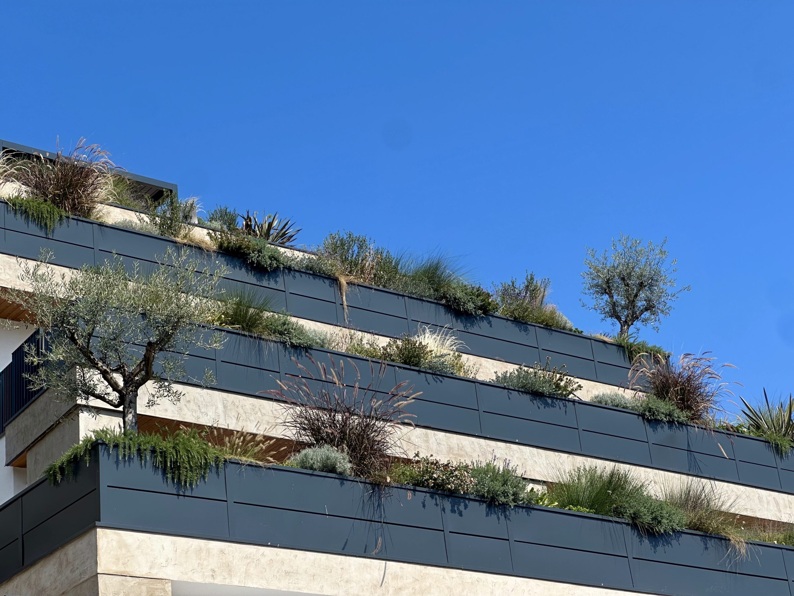 Un giardino residenziale a Grottammare
