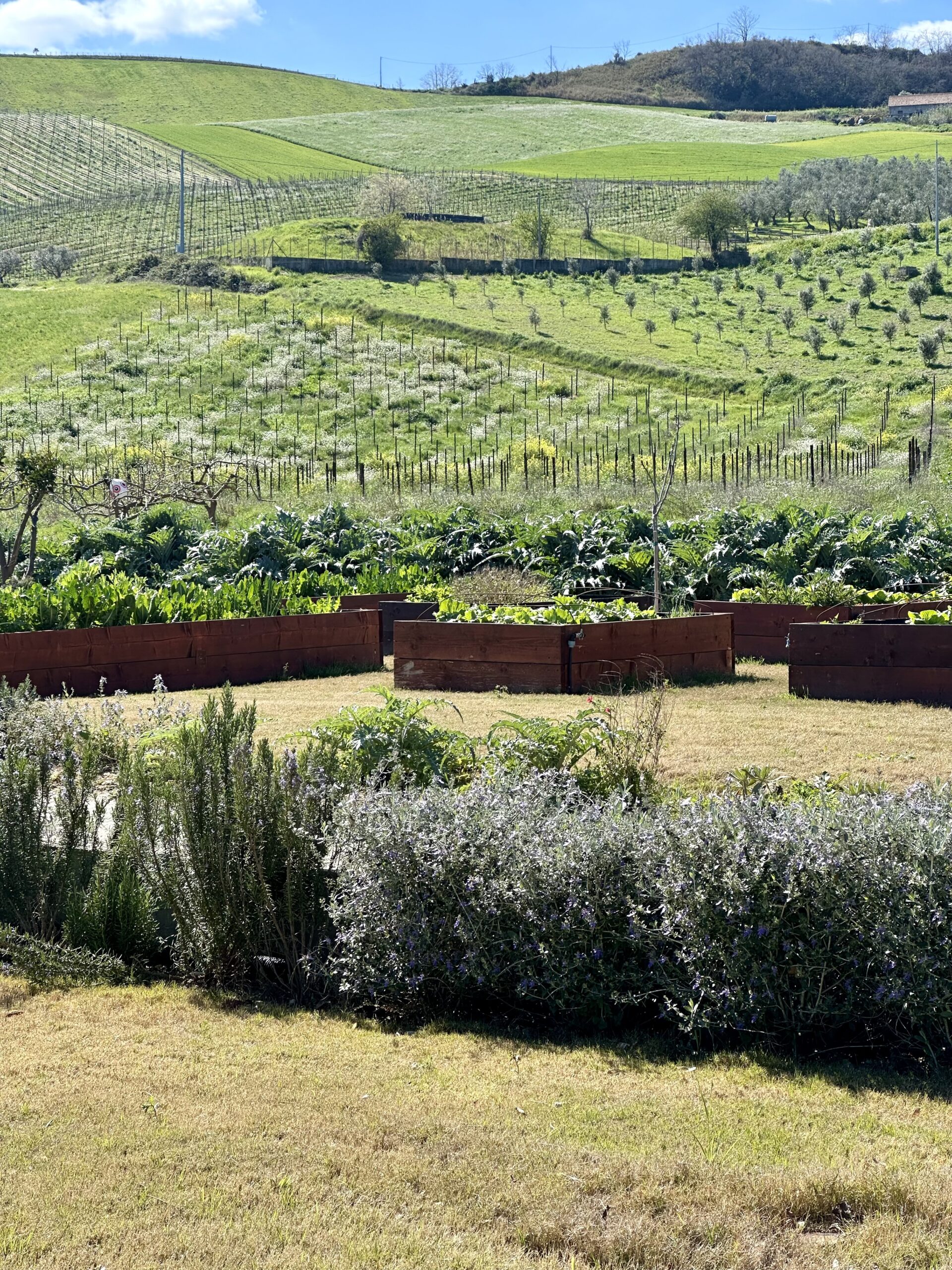 Un orto – giardino